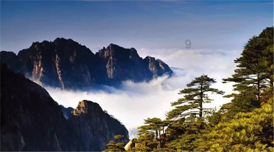 怎样养好蝴蝶兰?注意哪些事项?-你的全能有问必答平台